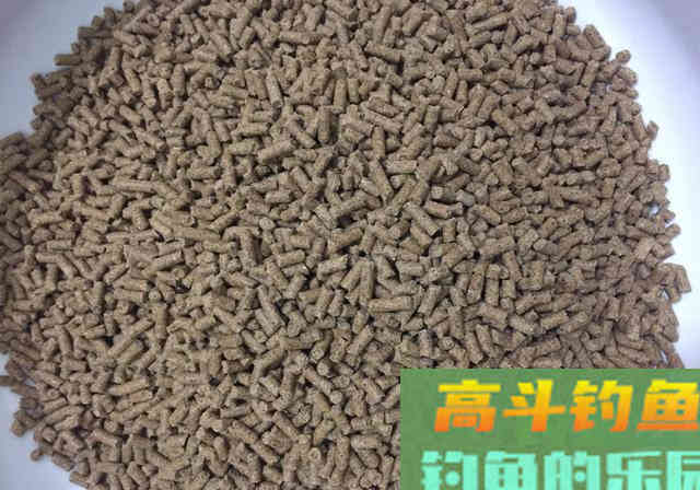 一套看似外行的装备，却演绎出饲料钓鱼的精髓