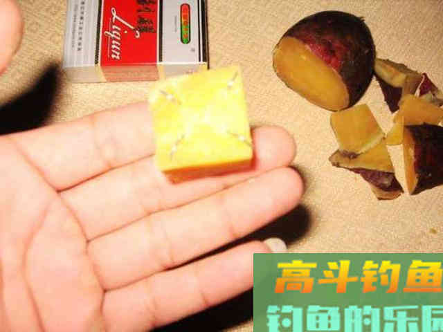 如何用红薯制作钓鱼饵料？特别适合秋天野钓鲤鱼