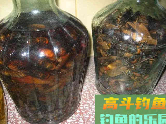 钓鱼中药酒其实并不神秘，分享3种效果不错的配方