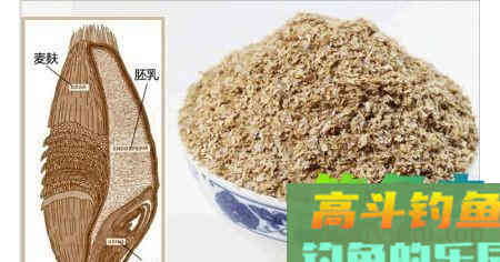 秋末钓鱼，饵料用腥还是用香？选错又是浪费时间去喂鱼