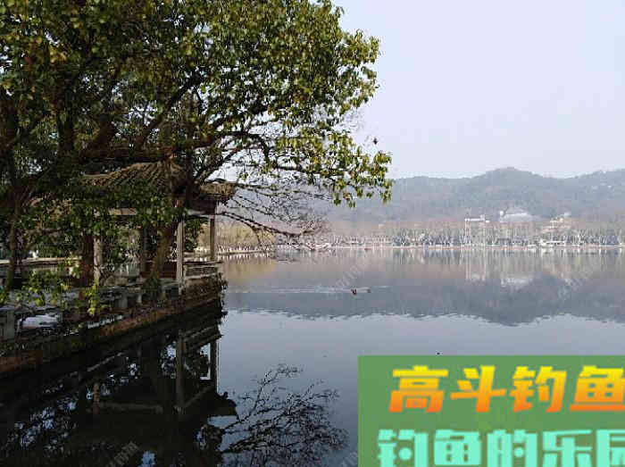 饵料比重的区分及适合使用轻饵的5种情况