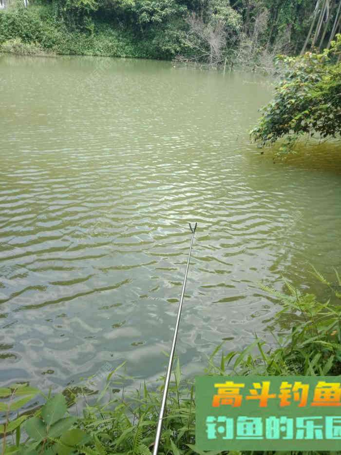 回家顺手试自配草鱼饵，还是七彩非伴随左右