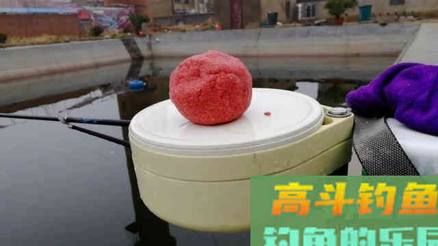 为什么你用拉饵总是钓不好鱼