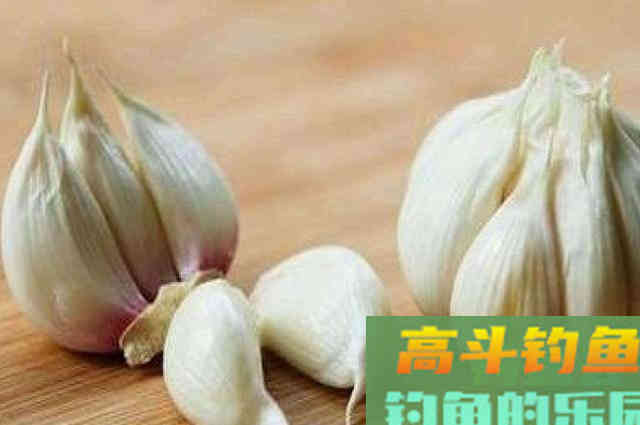 想钓大草大青，可以试试这款大蒜玉米饵