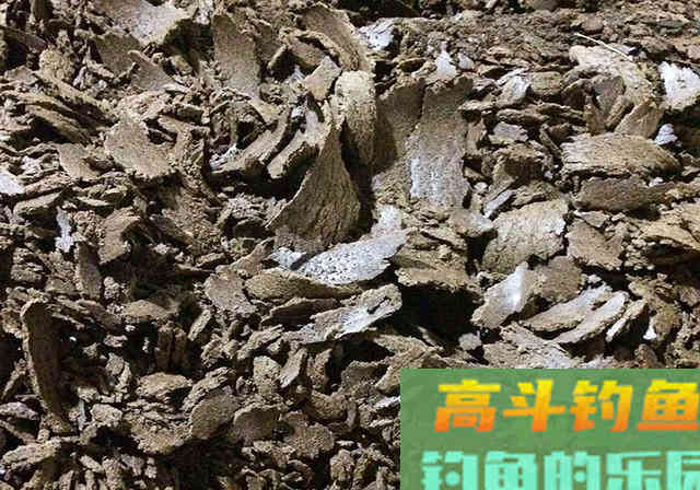 好用的鱼饵不仅是蚯蚓，这几种物料做饵料效果好