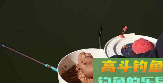 只要学会这1招散炮上饵法，你也只需猛拉上鱼就行了