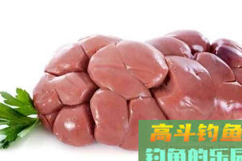 诱鱼开口的腥味饵，种类不同，诱钓效果也不相同