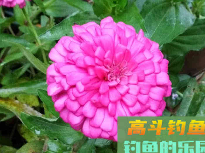 我对状态饵浅识和实操