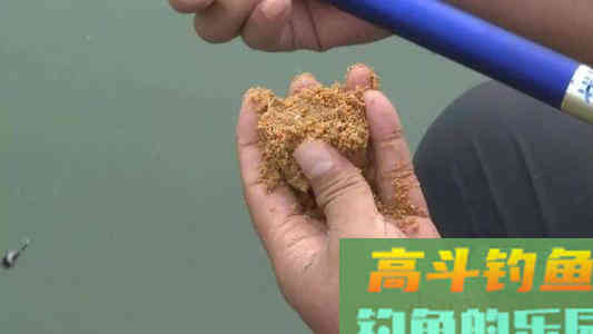 饵料颜色那么鲜艳，味型也不差，为何鱼群还是不进窝