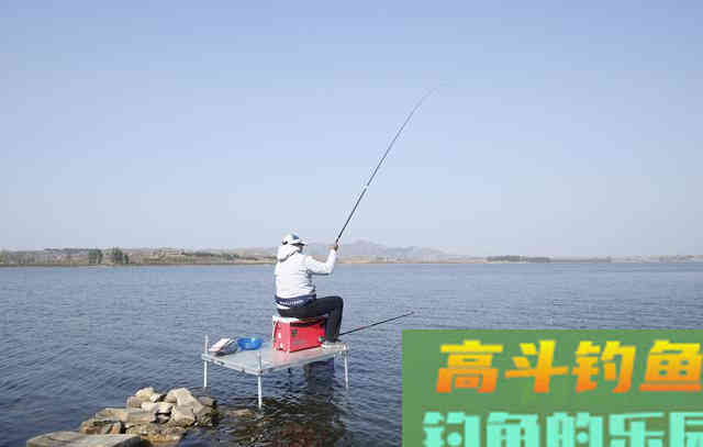 钓鱼挂饵能不能露钩尖？知道真相了后，从此不乱来