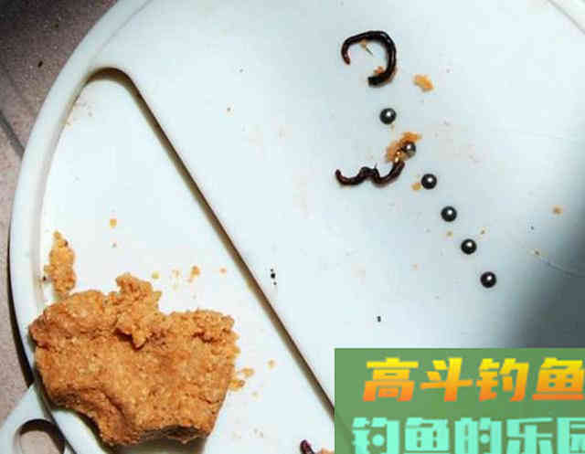 冷天钓鱼别只单挂蚯蚓红虫，多一个小步骤事半功倍
