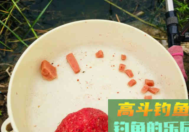 防止杂鱼闹的饵料，只要一块钱，能钓各种鱼