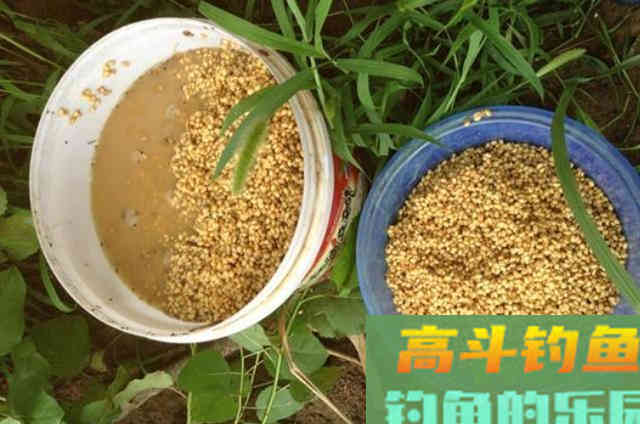 在秋钓过程中，应该牢牢记住的十字打窝法