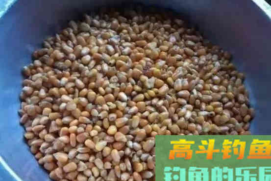 自制药酒泡玉米，为何总是泡不出味？