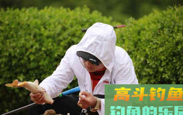 关于拉丝粉开拉饵的运用技巧知识