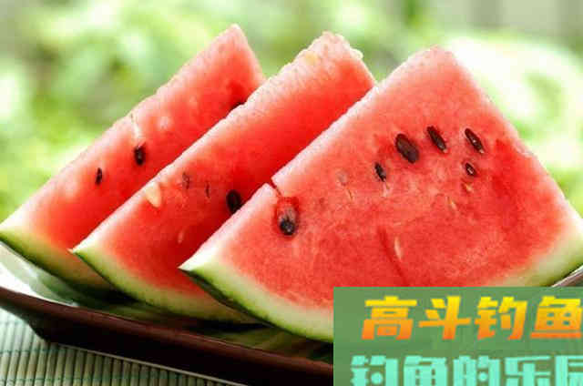 这3种饵曾被吹爆，时隔多年，为何还有人被骗