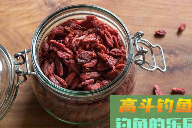 枸杞钓鲫鱼的神饵，分析枸杞作钓鲫鱼的可行性