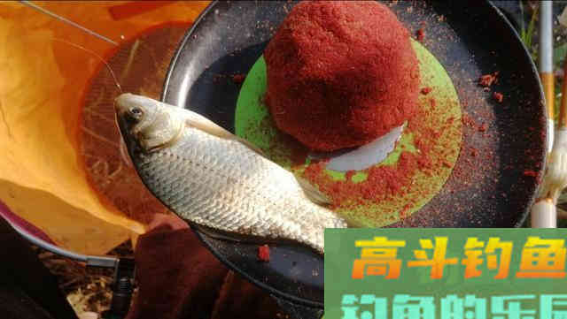 减淡饵料味型避小鱼，那你就错了