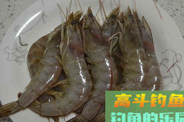 蓝鲫虾肉鸡肝做饵料，入水鱼儿抢着吃，爱钓鱼的别错过