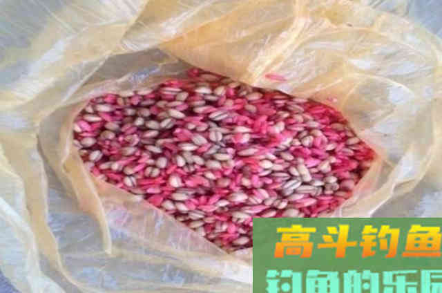 自制鲫鱼饵料配方一钓一个准