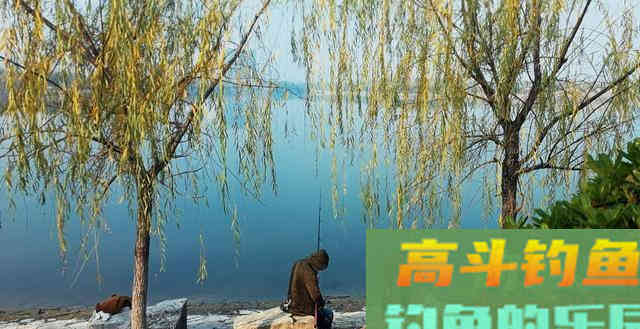 小时候的重口味打窝，狐狸没捉到，惹了一身骚