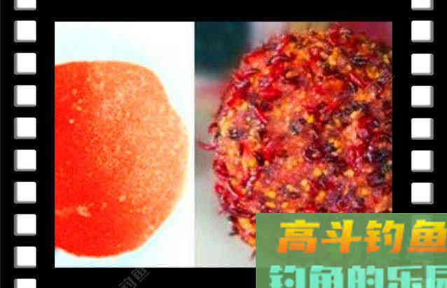 冬季鲫鱼必杀神饵红虫