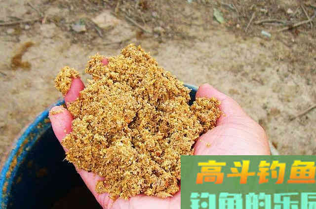 专治鲫鱼不开口的饵料，用了三十年依然奏效