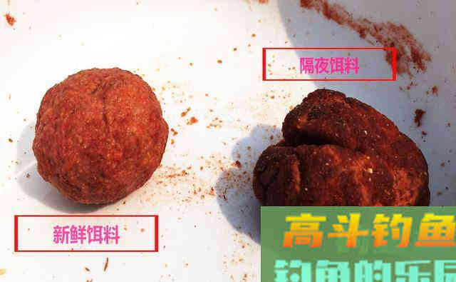 用不完的饵料别扔，这样用很实惠