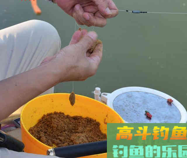 小黄面为什么风靡黑坑？它是一种怎样的钓饵