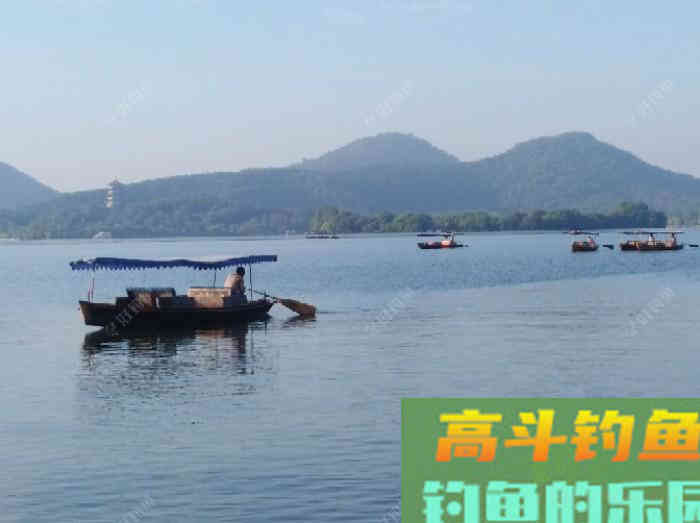 五种情况下需用轻饵作钓，能让你更好的钓获大鲫鱼