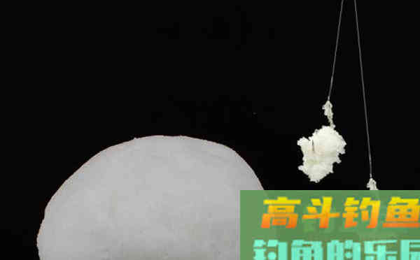 饵料搭配需要考虑的4个因素