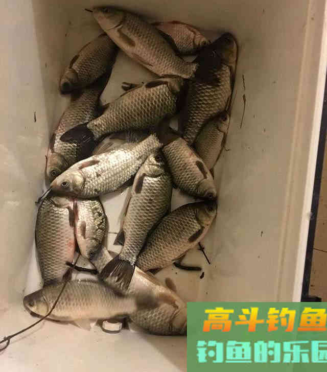 对人体十分重要的东西，钓鱼的时候加点效果怎样？