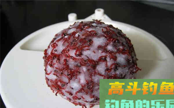 饵料搭配需要考虑的4个因素