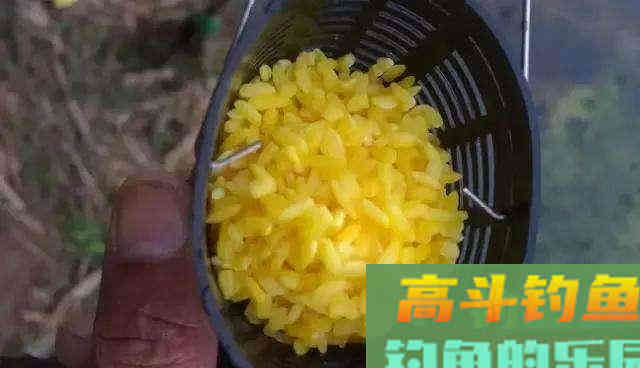 冬季钓鱼，窝子打多还是少？老钓友这样打