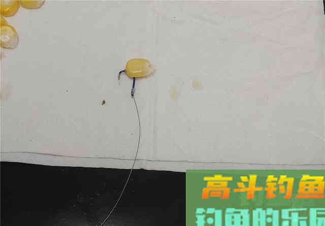 嫩玉米这样挂可大幅提高中鱼概率，不同的鱼用不同挂法