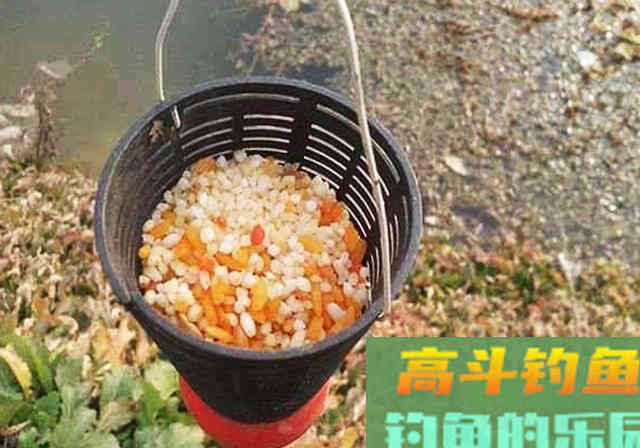 夏季打窝诱鱼不理想，那就试试这款鸡粪窝料