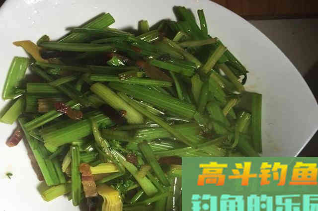 剩菜剩饭做窝料，起初被人嘲笑，渔获给我了满足