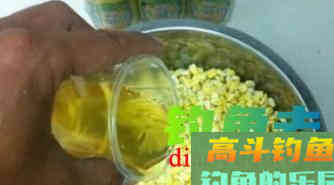 不同的啤酒钓鱼，用法和目标鱼是不同