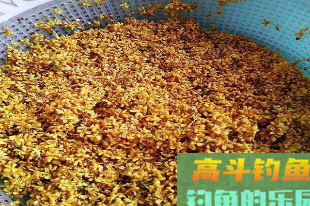 自制桂花小药，夏季野钓鲫鲤效果好