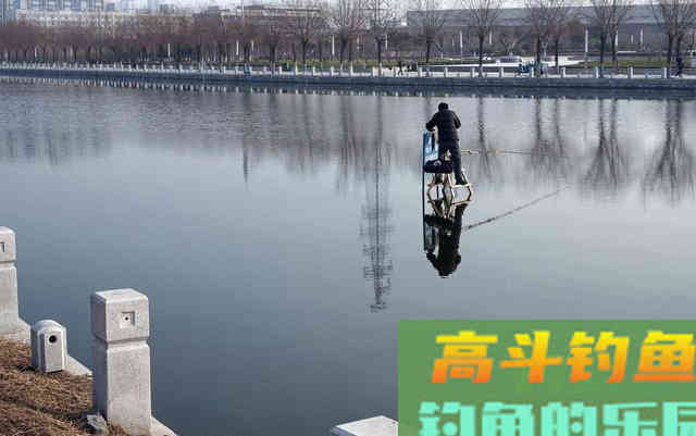 冬季打窝来鱼慢？不是窝料味道差，不是钓位不够好