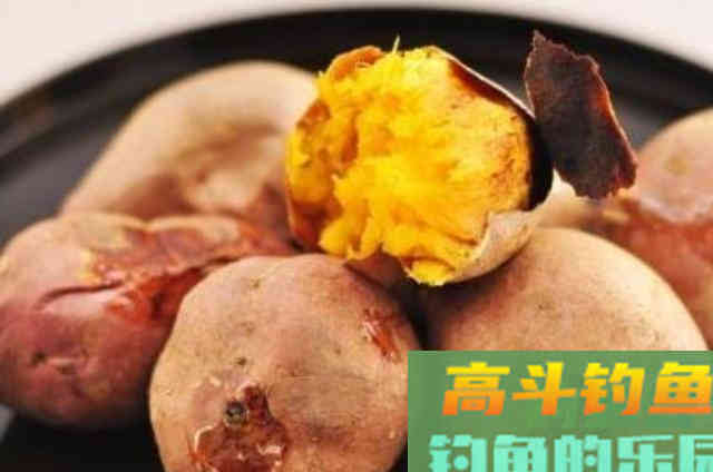 钓草鱼的饵料配方，知道后想不上钩都难