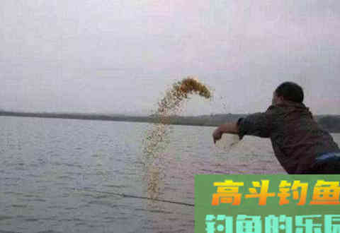 一定要知道的冬季打窝诱鱼的几大技巧