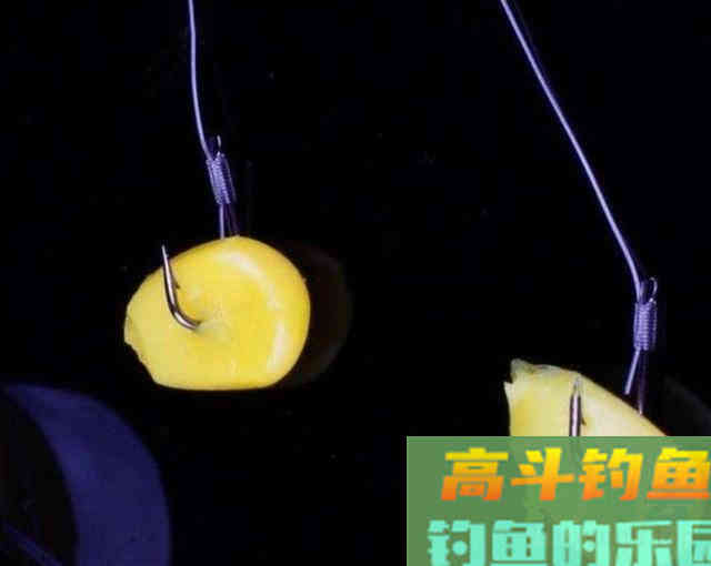 自制窝料钓鱼，用玉米粒野钓10斤鲤鱼，还有野生大草鱼
