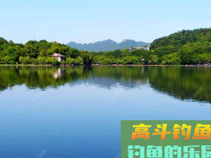 大鲫喜食的几款饵介绍，让你钓大鲫鱼到手软