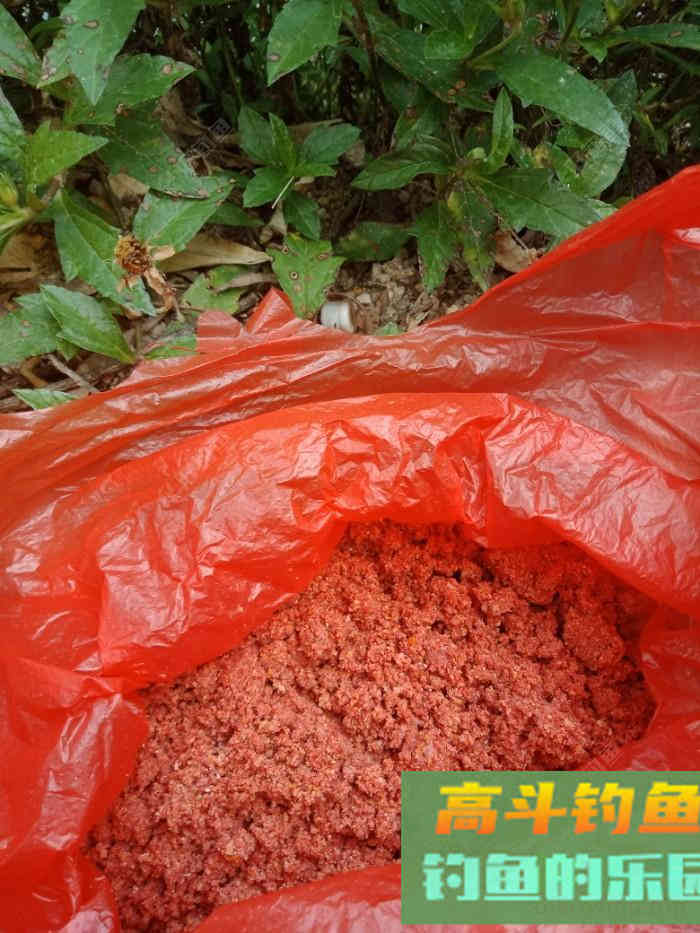 回家顺手试自配草鱼饵，还是七彩非伴随左右