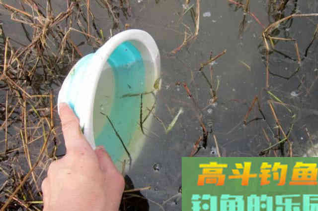 冬季钓鱼的5点体会，并附上我的自制钓鲫饵料配方
