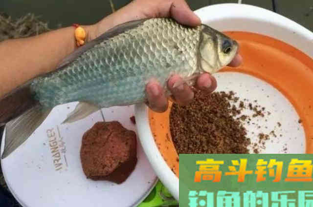 钓了三十年鱼，夏天唯独这诱鱼方式才最有效