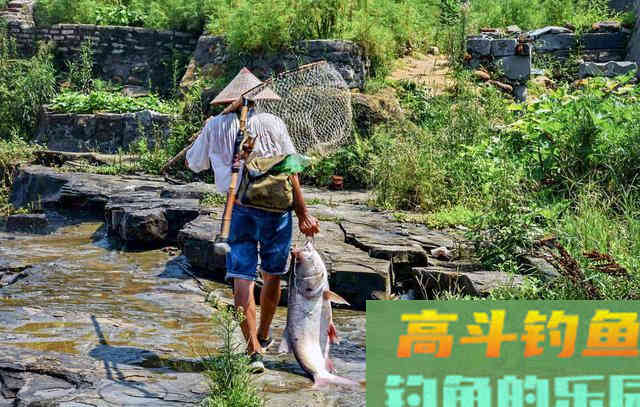 花露水做饵料，红虫也比不上，效果好的很
