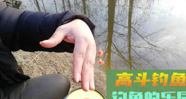 冬钓小鲫鱼，必用的三种饵料，你都用对了吗