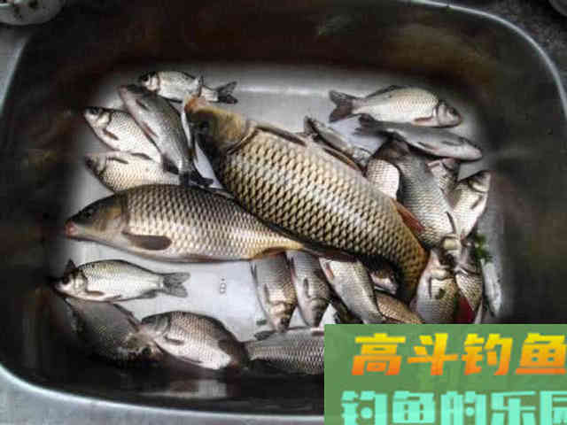 野钓的一款好的万能饵，这是一款最简单的